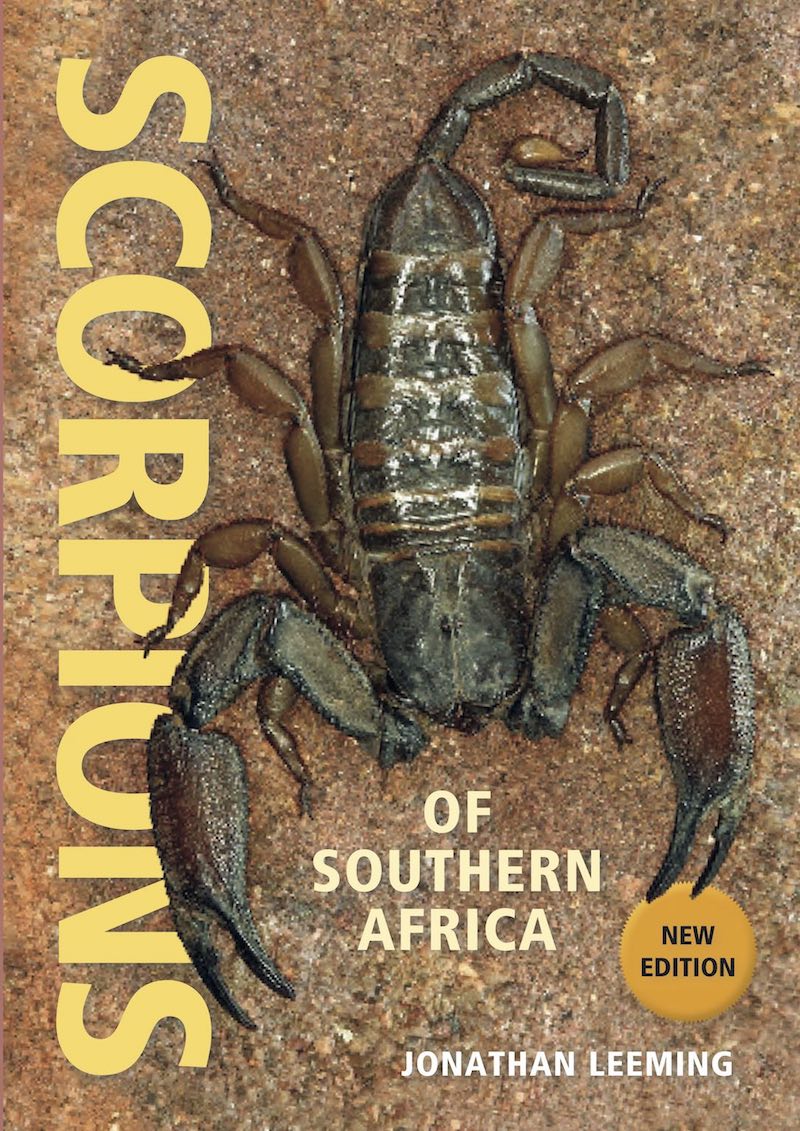 Scorpion of SA Cover