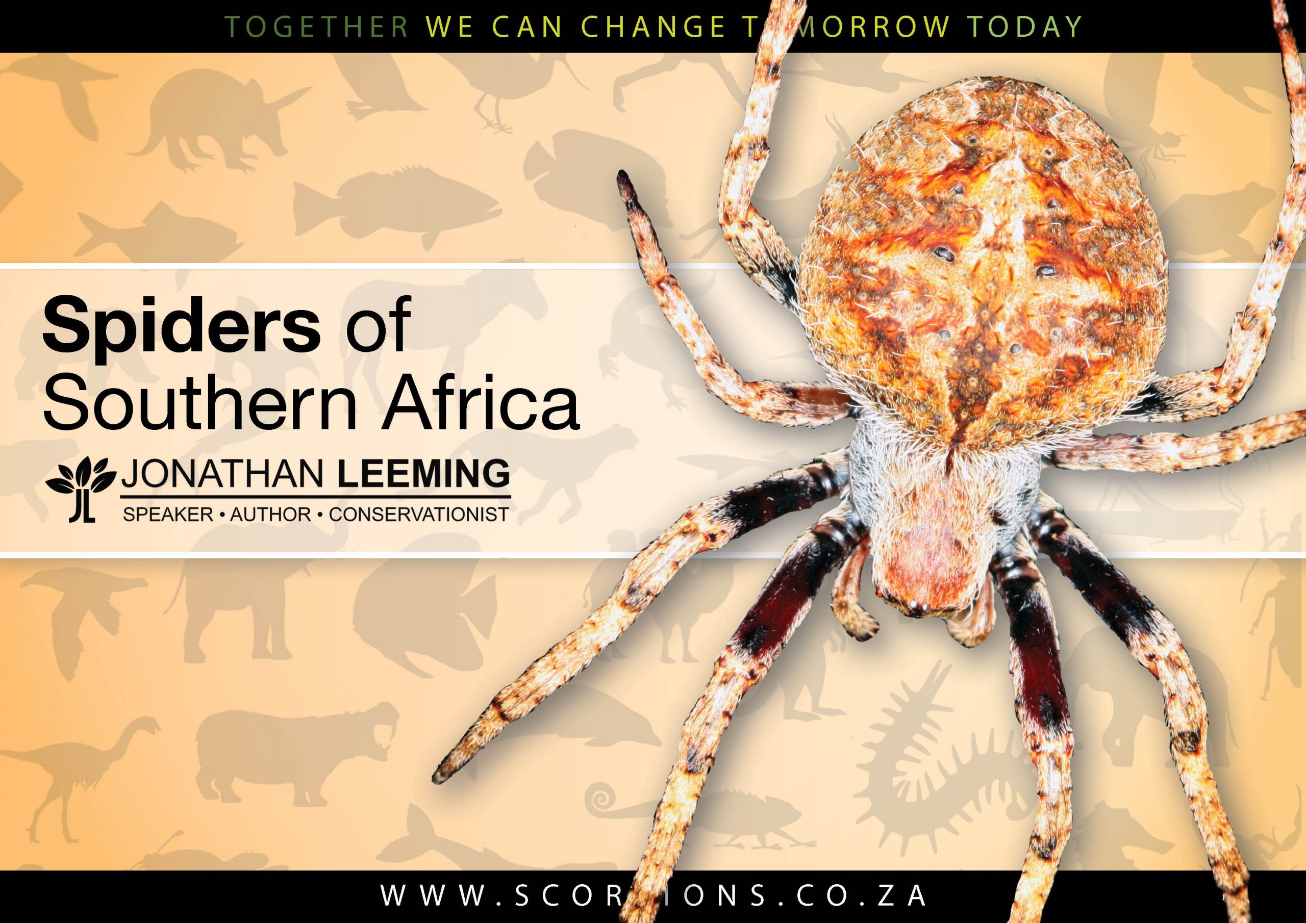 Spiders of SA Presentation