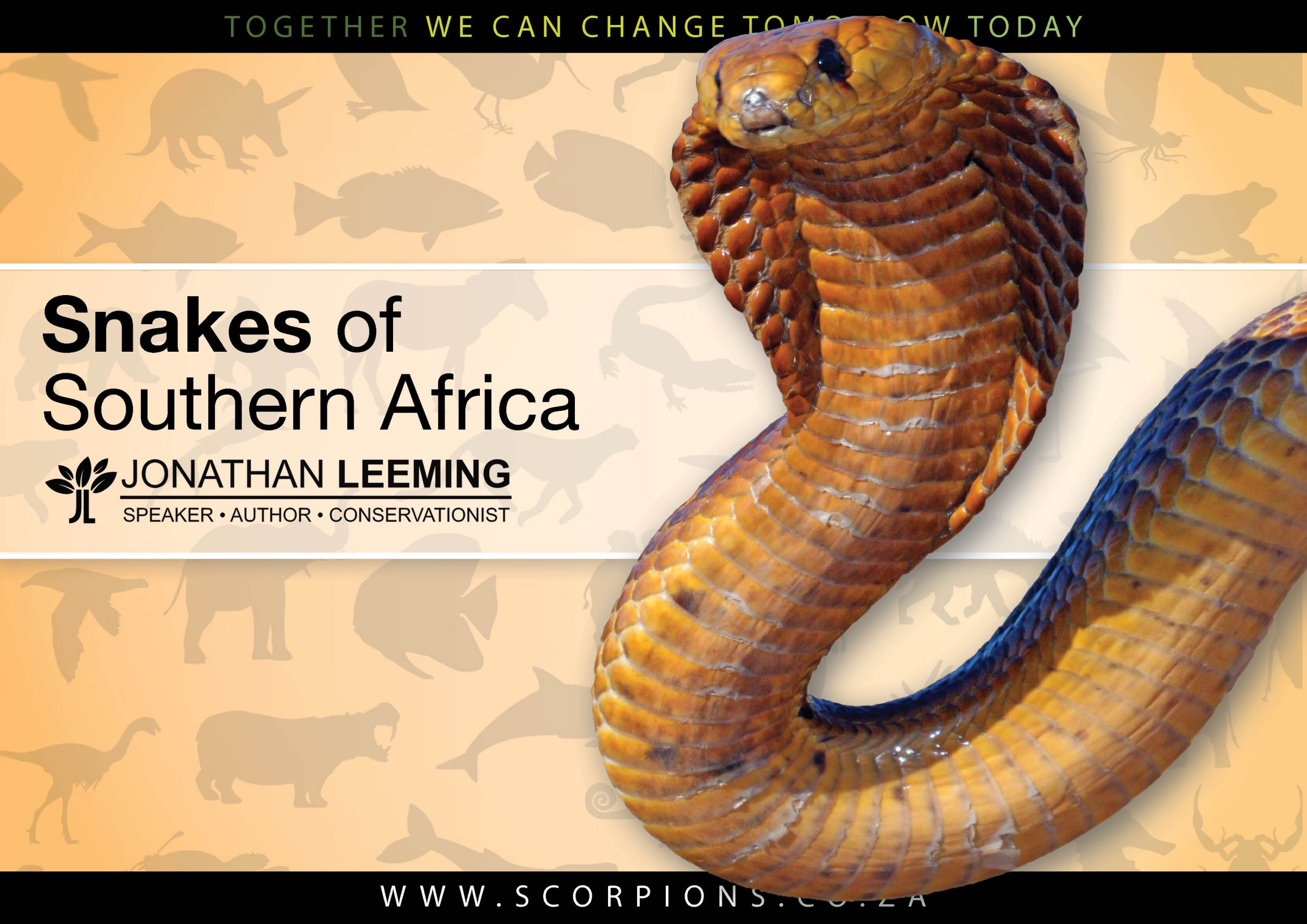 Snakes of SA Presentation