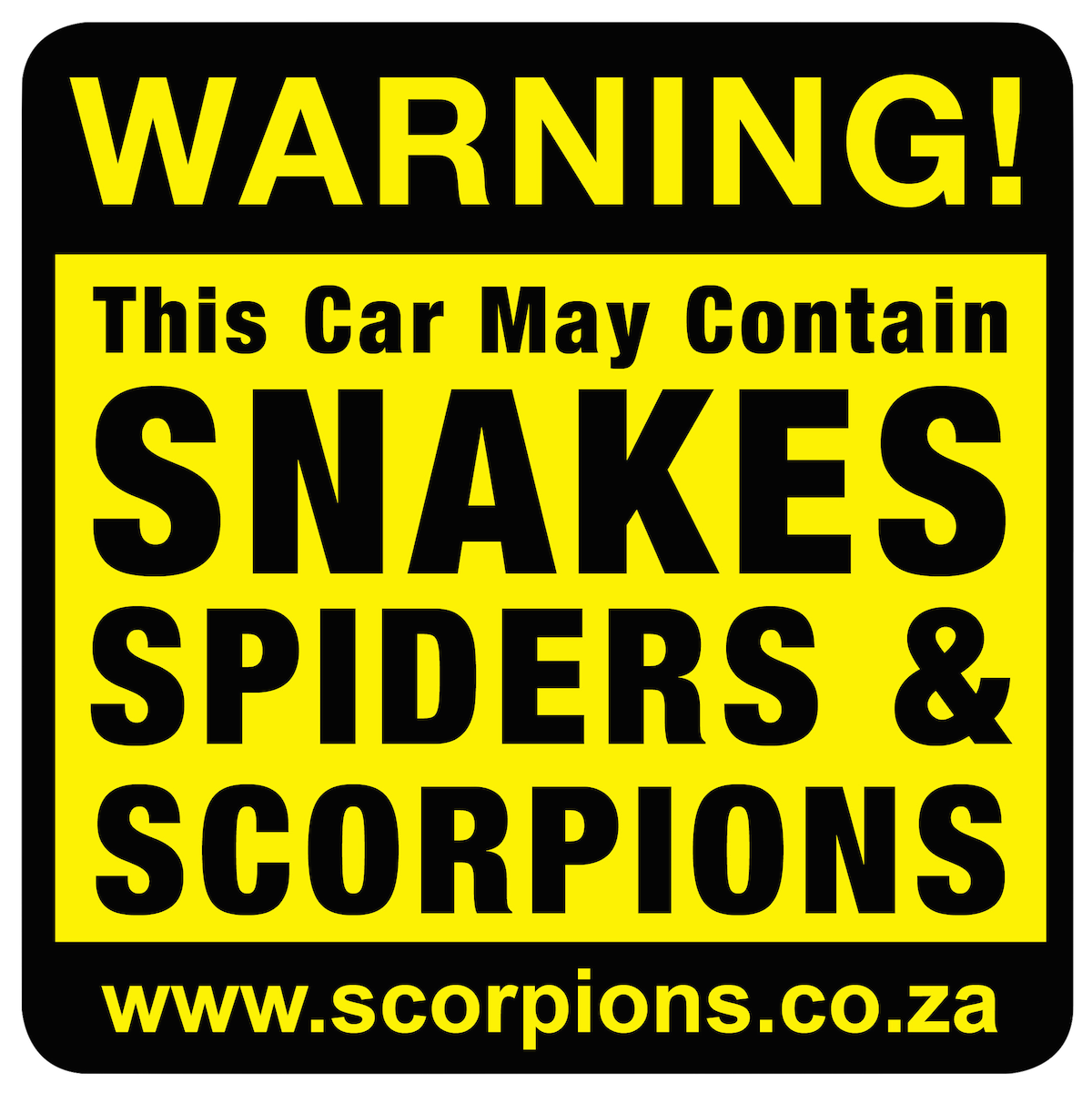 Scorpion Stings In Southern Africa: Diagnosis and Management