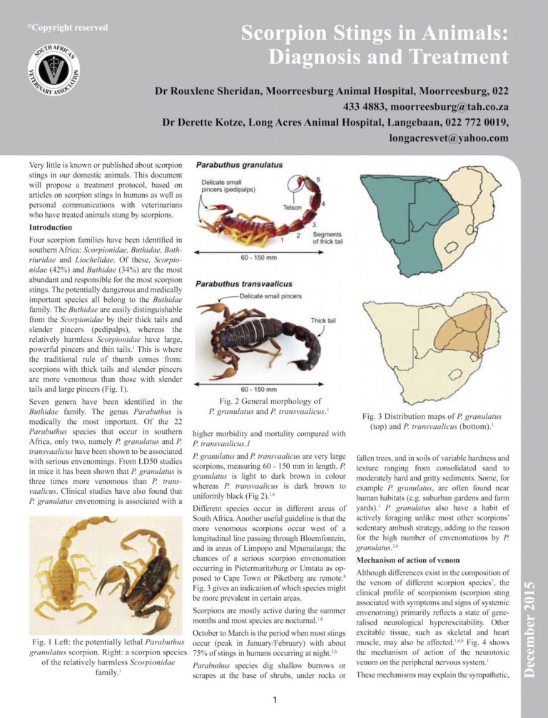 Scorpion Sting Medical Research Essential Scorpion Sting First