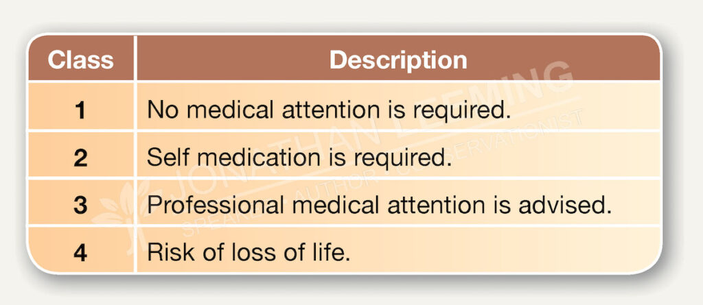 Scorpion Sting Symptoms Scorpion Sting First Response By Jonathan Leeming