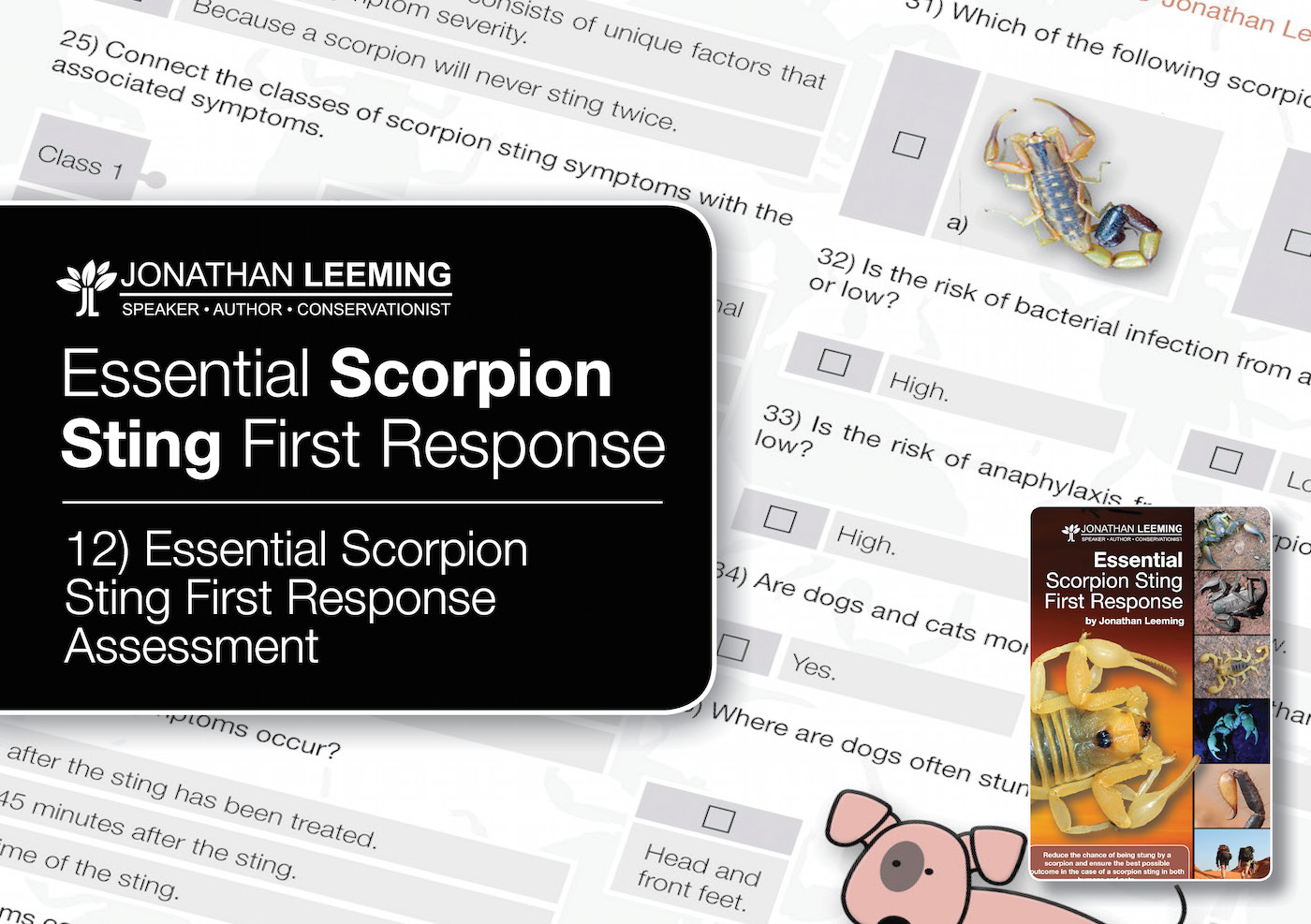 Scorpion Sting First Response Assessment