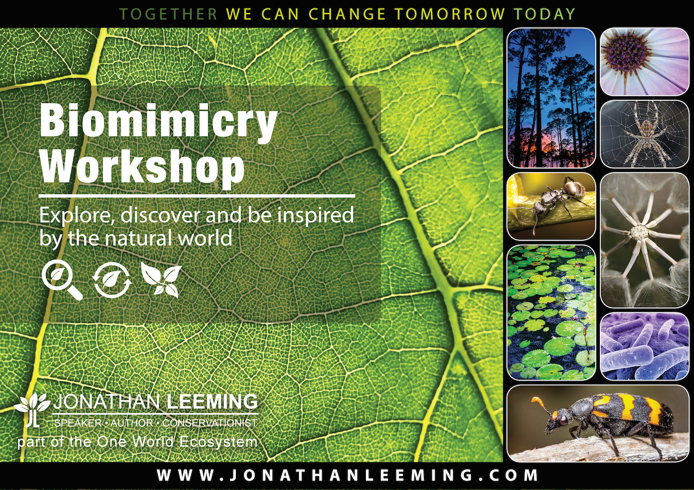 Biomimicry Workshop