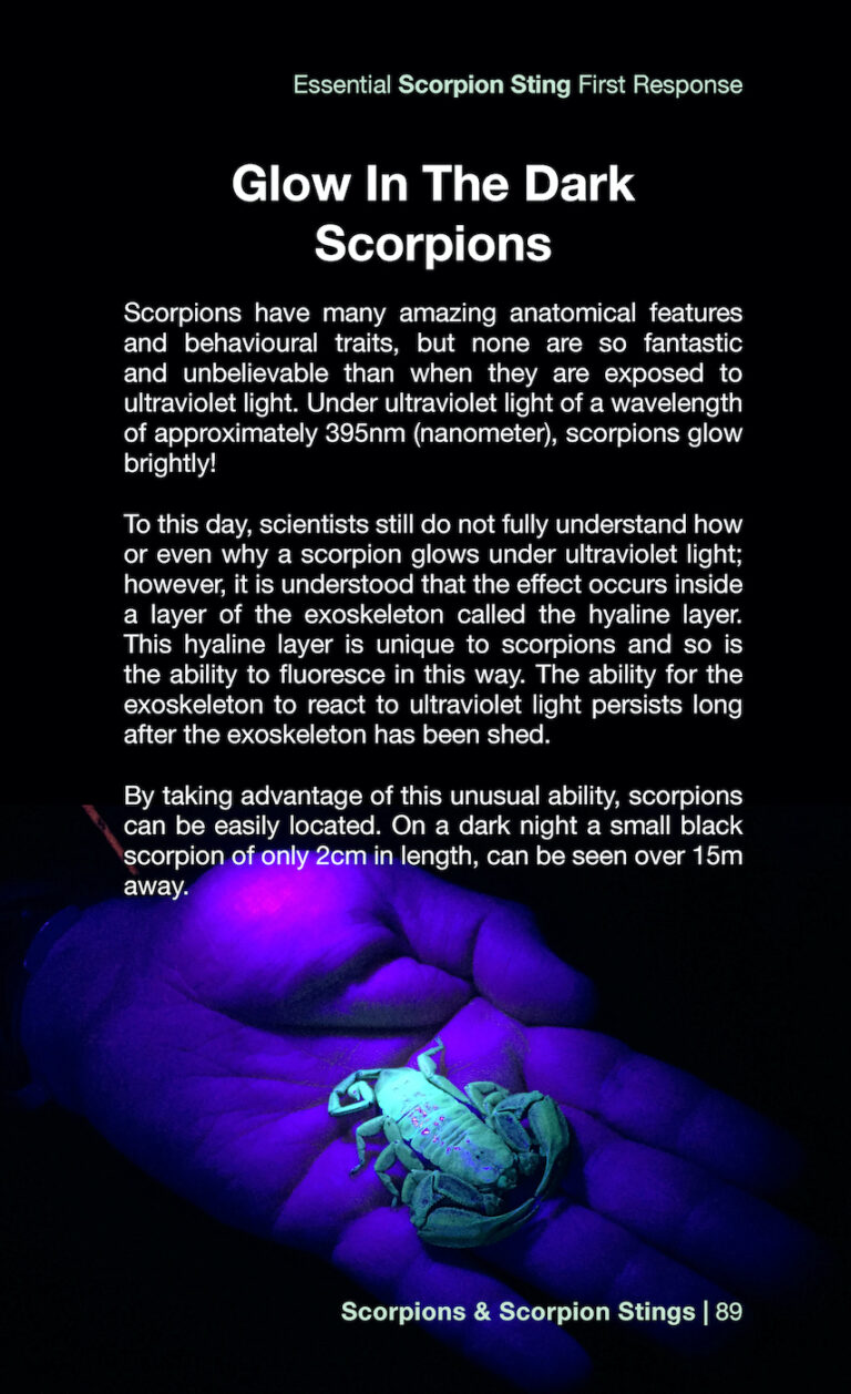 Essential Scorpion Sting First Response Book By Jonathan Leeming