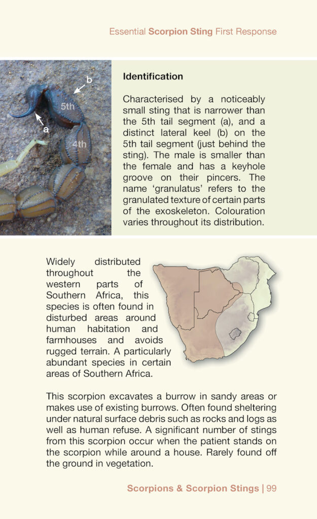 Essential Scorpion Sting First Response Book By Jonathan Leeming