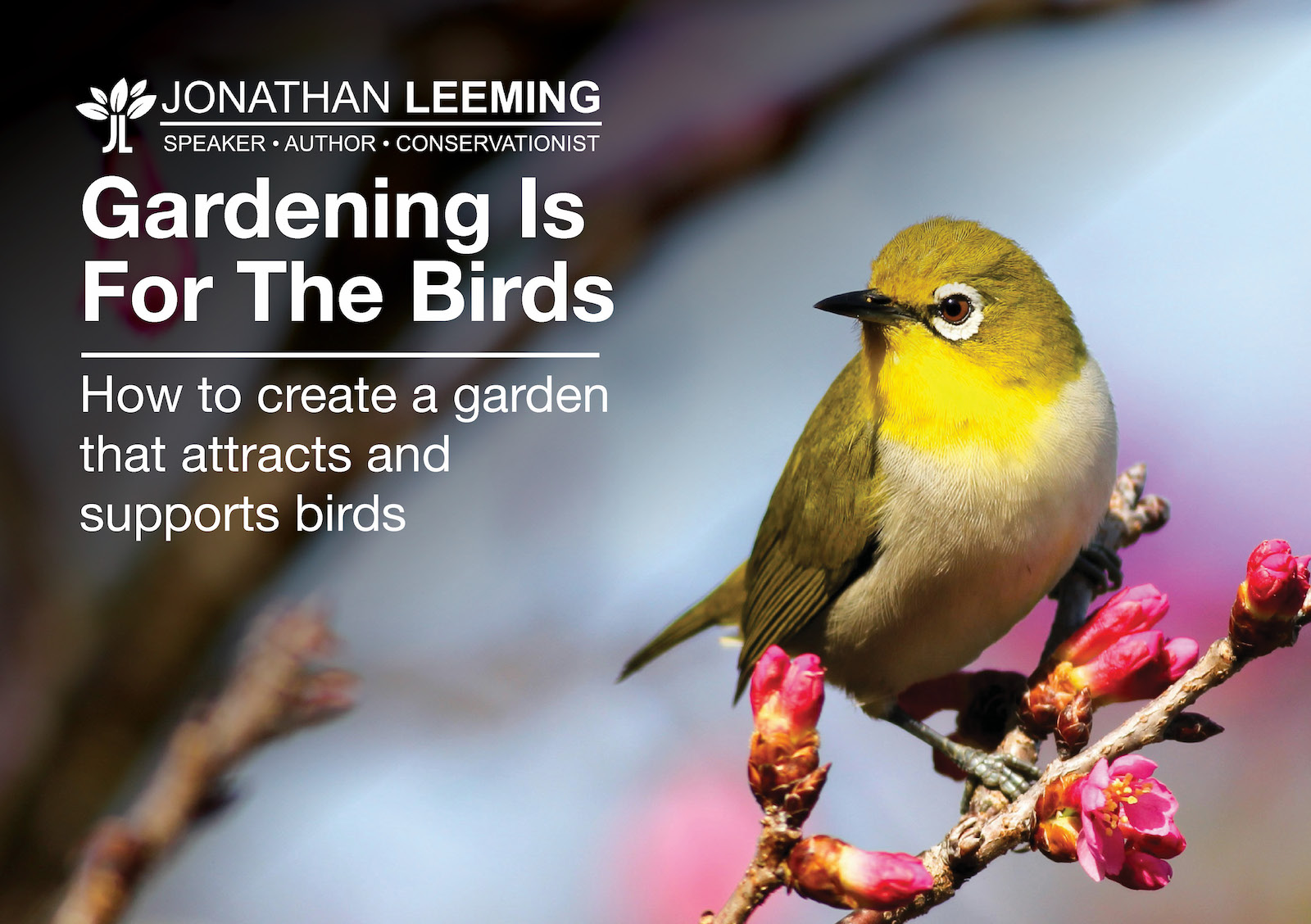 Gardening Is For The Birds presentation, Bird Fair 2025