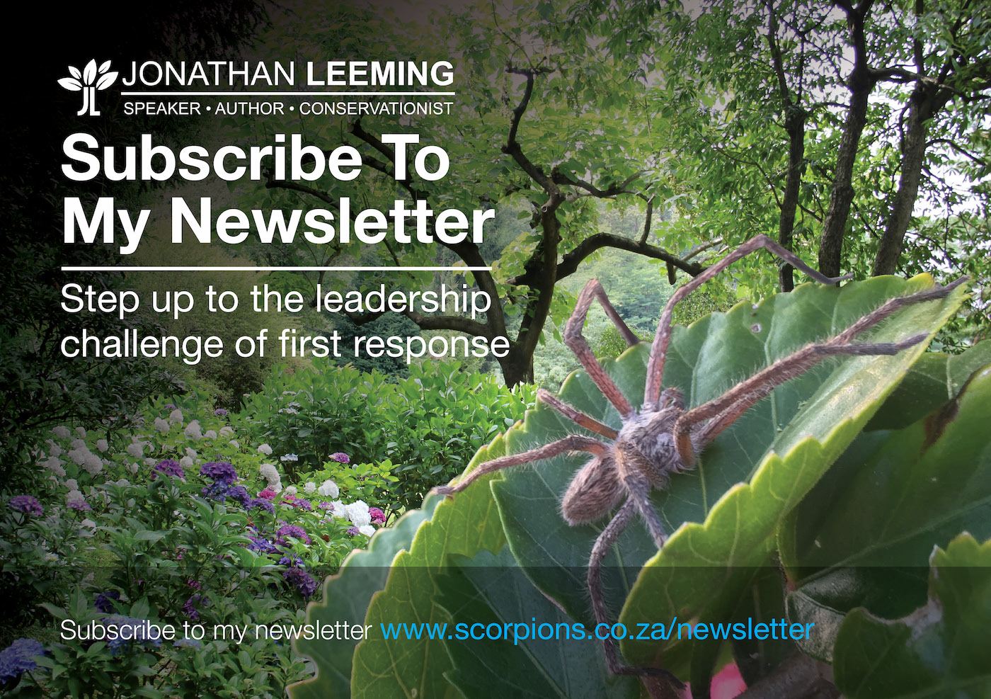 Subscribe to my newsletter and step up to the leadership challenge of first response in your organisation and community.