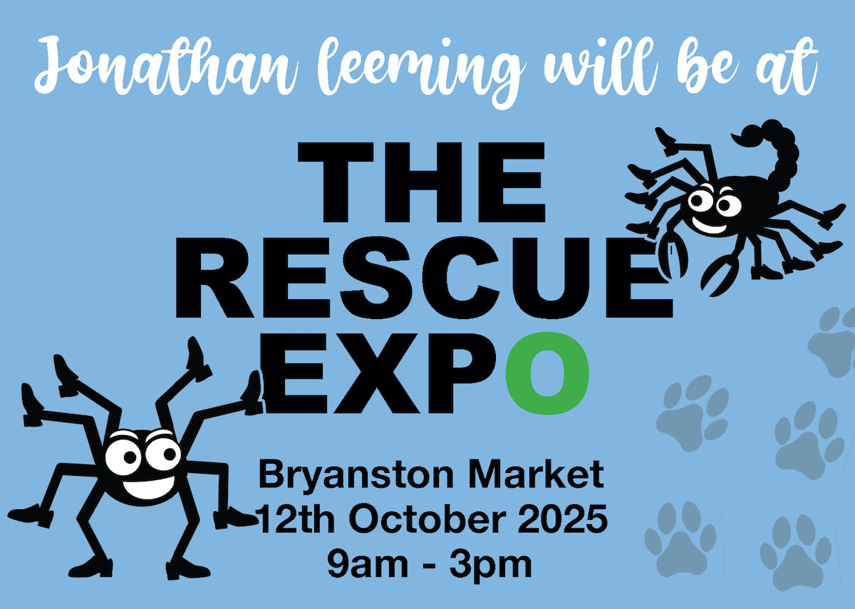 Rescue Expo