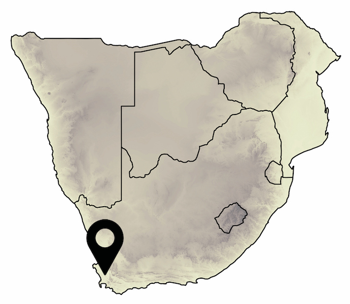 19) Which of the map locations is situated within the distribution of the Rough Thick-tail Scorpion (Parabuthus granulatus)?