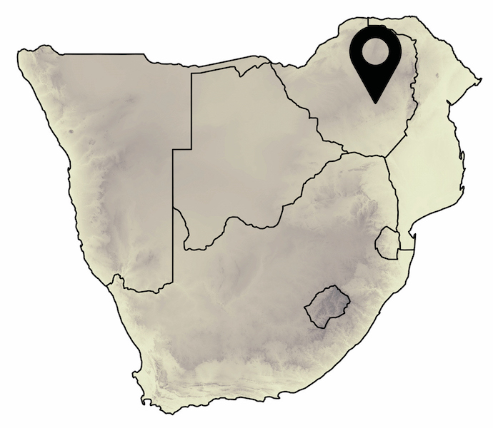 19) Which of the map locations is situated within the distribution of the Rough Thick-tail Scorpion (Parabuthus granulatus)?