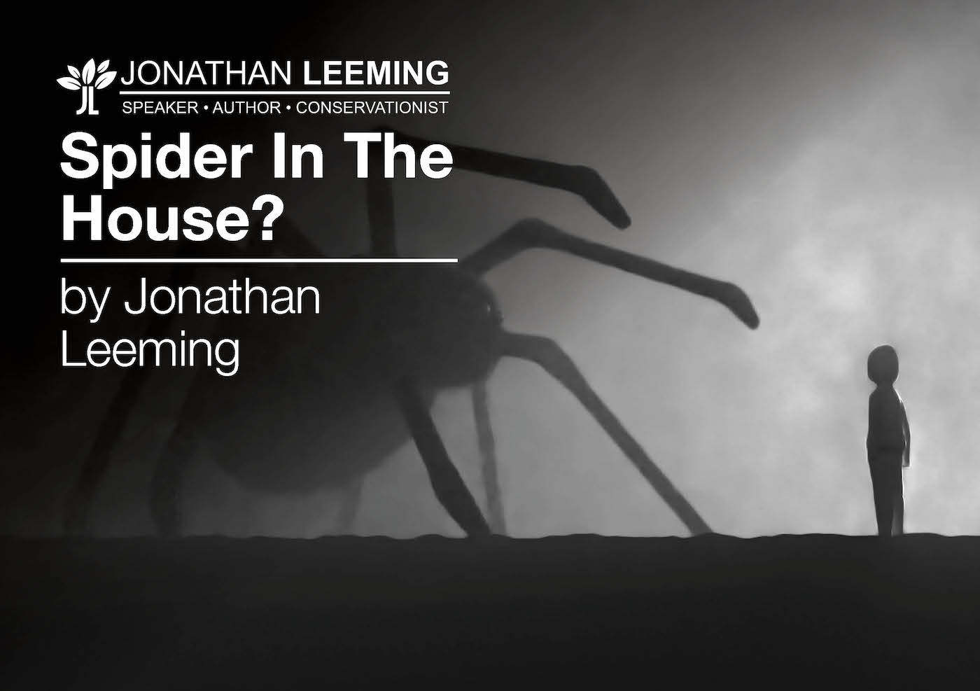 Spider In The House?