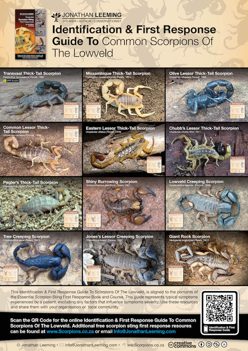 Scorpions of Lowveld Poster