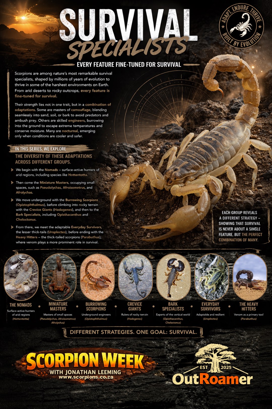 Scorpion survival specailists